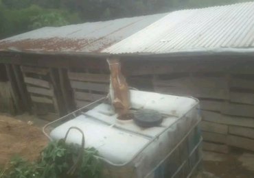 Ifamu yinkwavu ningurube igurishwa mukarere ka kamonyi